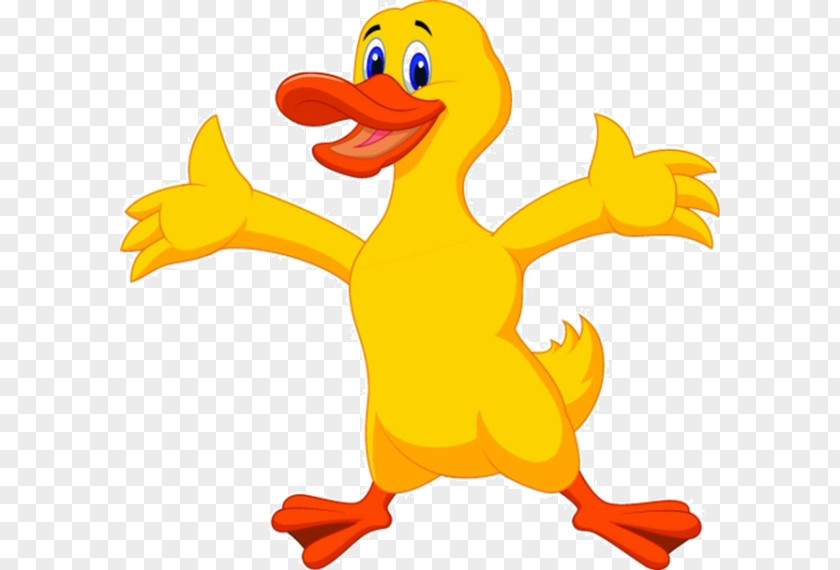 Cartoon Duck Royalty-free Clip Art PNG
