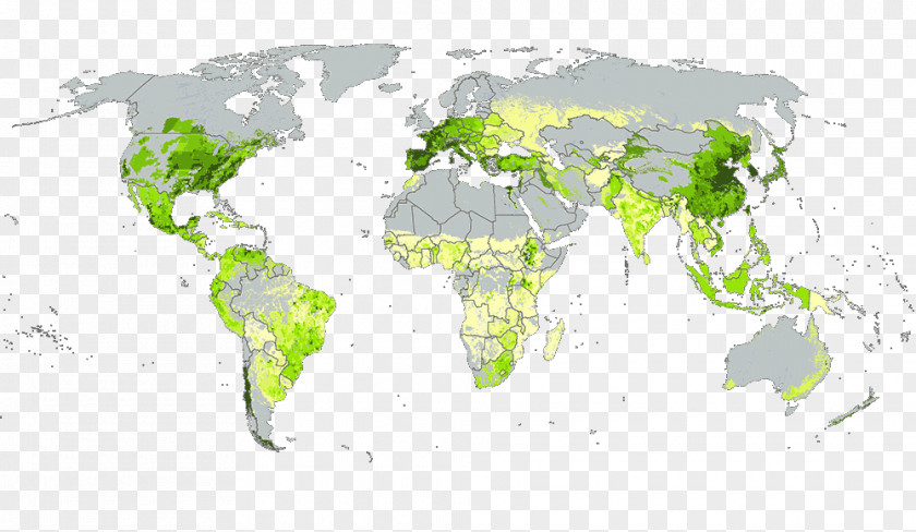 Cassava World Company Service Intertek Business PNG