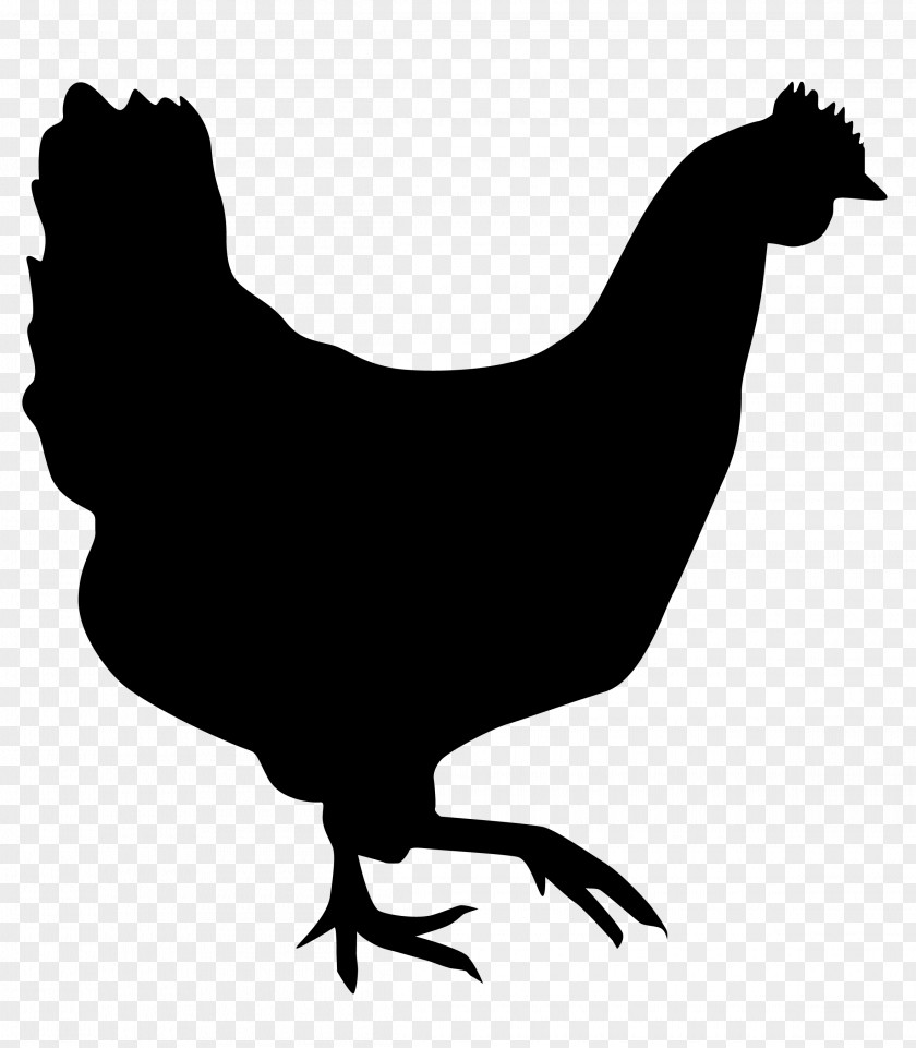 Chicken Rooster Silhouette Drawing PNG