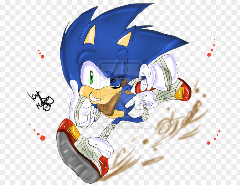 кола Amy Rose Sonic Boom The Hedgehog Vertebrate PNG