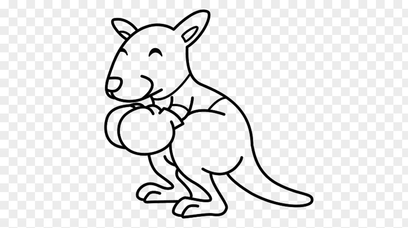 Boxing Kangaroo Large Coloring Pages: Books For Kids Drawing PNG