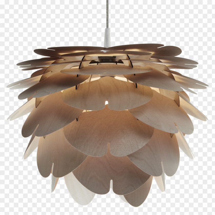 Design Scandinavia Lighting Chandelier Studio PNG