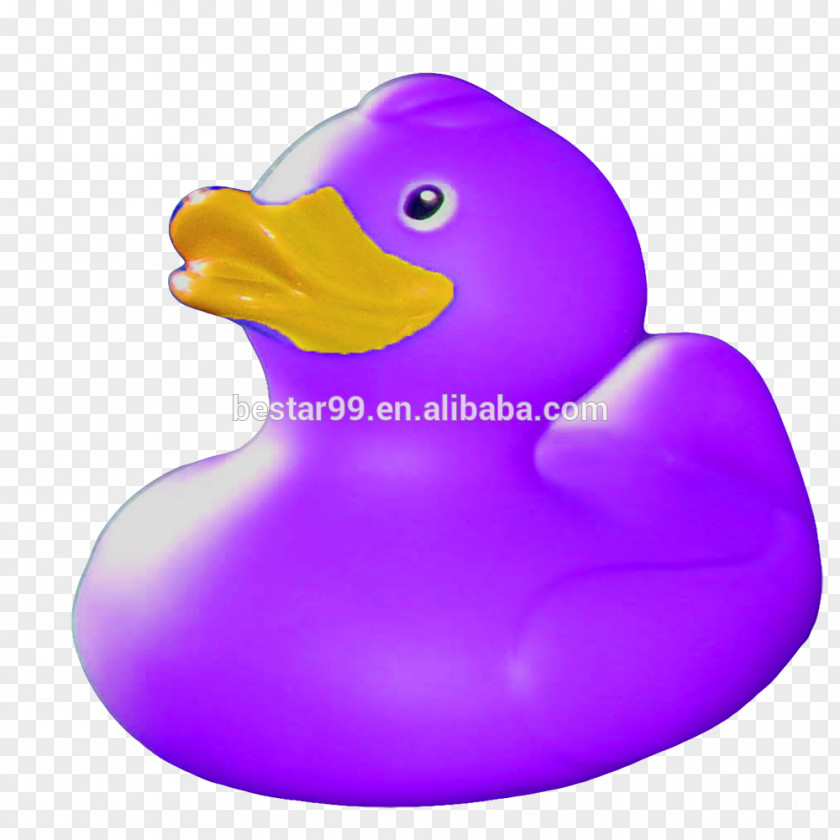 Duck Rubber Natural Photograph PNG