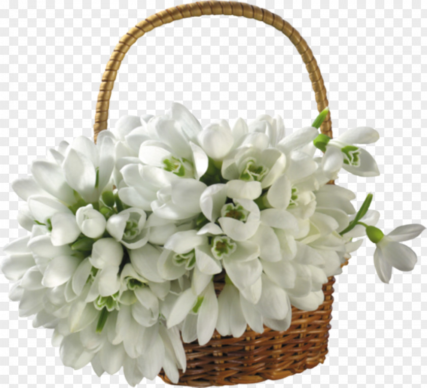 Plant Bouquet White Flower Girl Basket Cut Flowers PNG