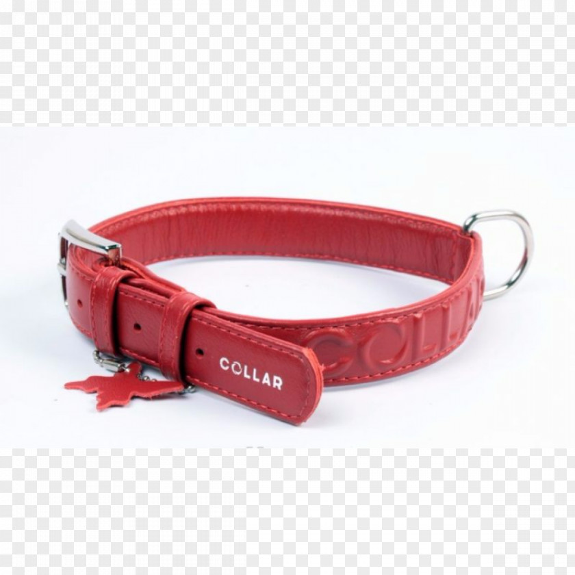 Red Collar Dog Clothing Accessories PNG