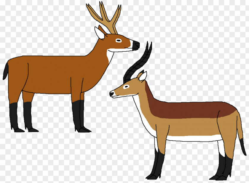 Reindeer Antelope Ungulate Musk Deer Elk PNG