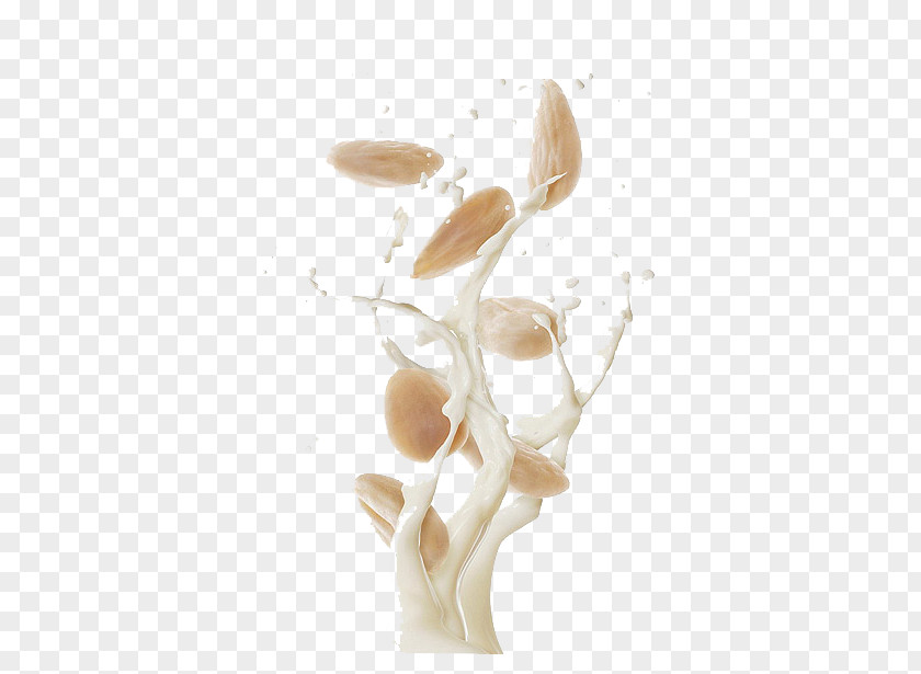 Splashes Of Almond Milk Splash PNG