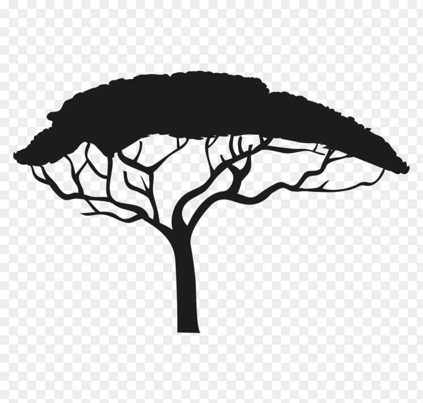 Urban Vector Africa Silhouette Tree Drawing PNG