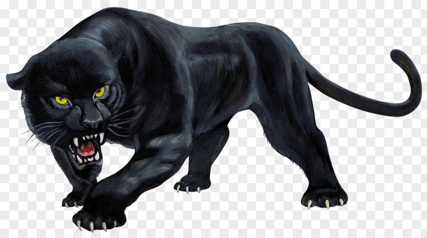 Android Real Panther Simulator Panthera Wild Sim 3D Black Cub PNG
