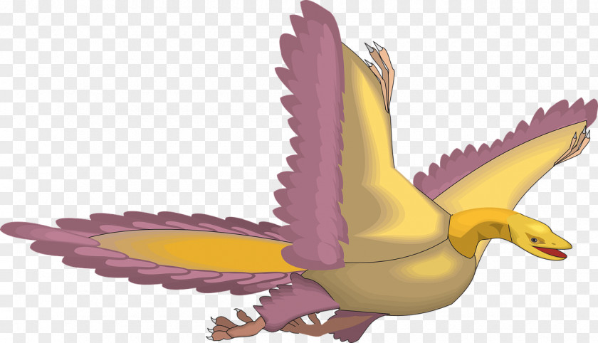 Bird Archaeopteryx Cartoon PNG