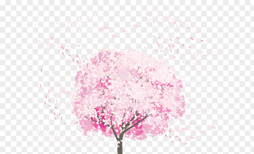 Cherry Blossom 花吹雪 PNG