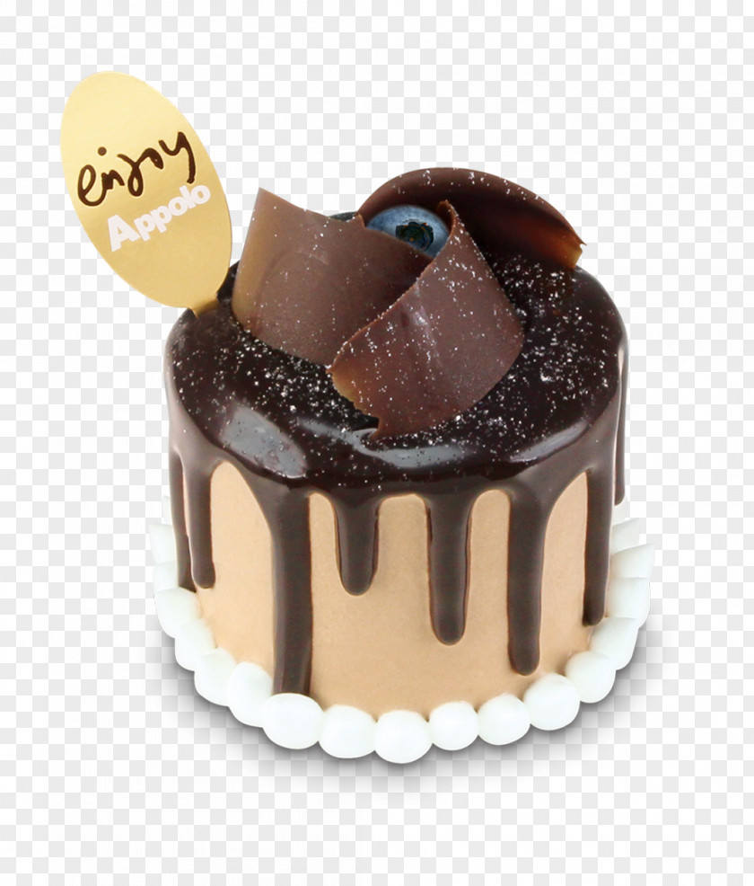 Chocolate Cake Ganache Truffle Sachertorte Praline PNG