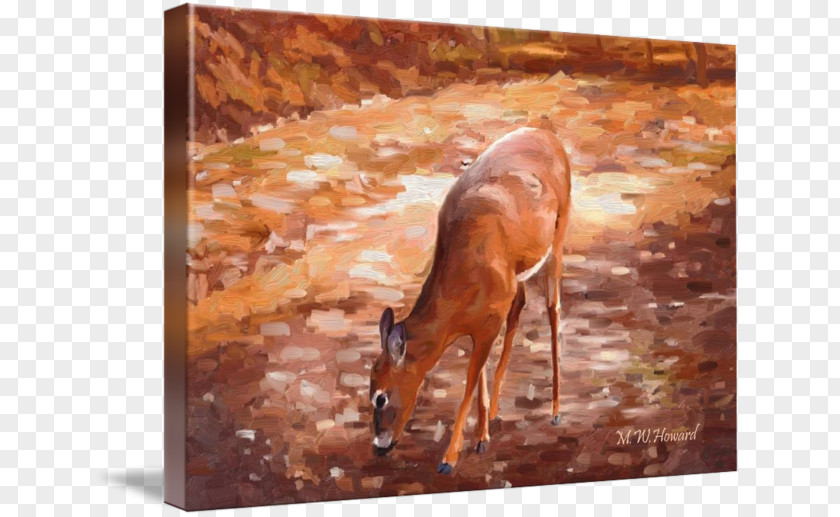 Deer Impala Gazelle Antler Painting PNG