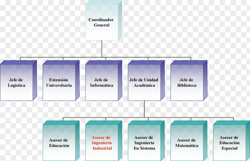 Design Organizational Chart Management Empresa PNG