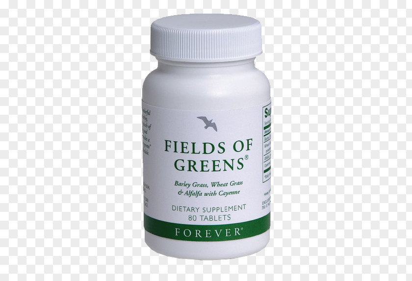 Health Forever Living Products Chennai Wheatgrass Dietary Supplement Food PNG