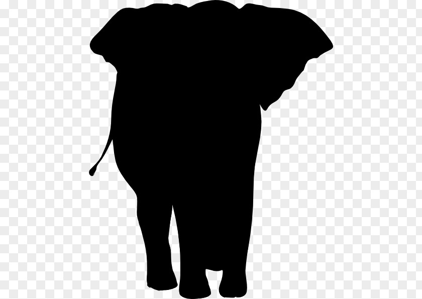 Silhouette African Elephant Indian Elephantidae Tusk Clip Art PNG
