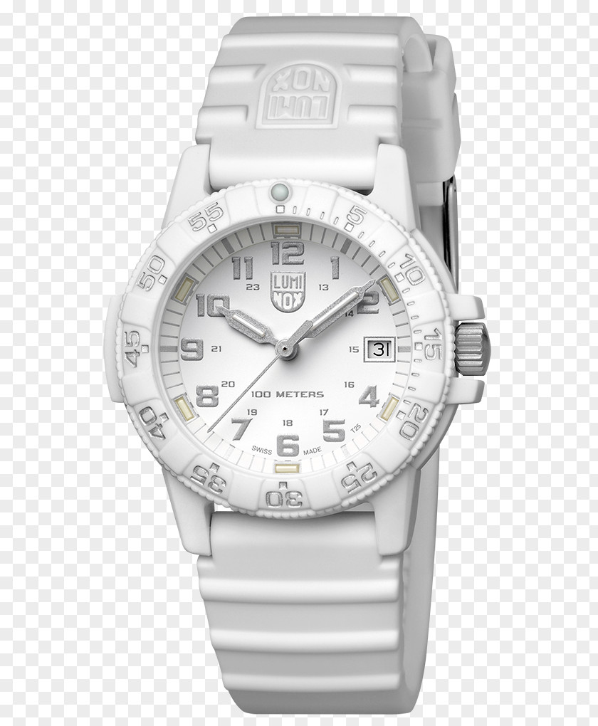 XS.0333 Luminox Sea Turtle Giant 0320 SeriesGiant Leather 0300 Series Leatherback PNG