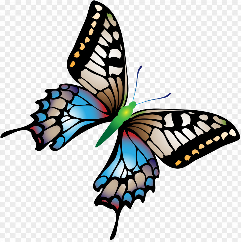Butterfly Papillon Dog Insect PNG