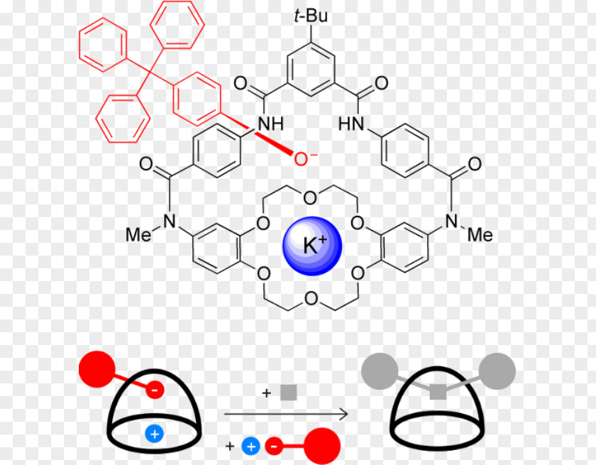 Chemical Compound Enobosarm Diagram Anthocyanidin Bicalutamide PNG