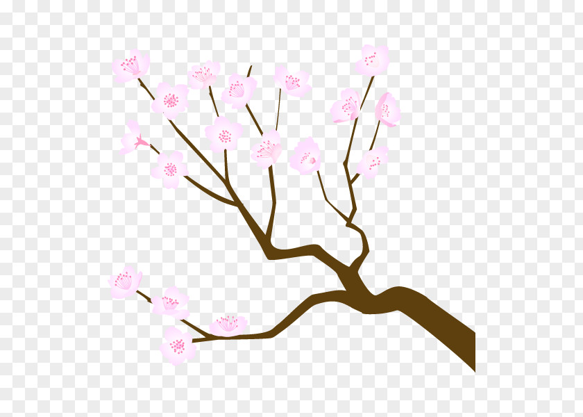 Cherry Blossom Flower ST.AU.150 MIN.V.UNC.NR AD Floral Design PNG