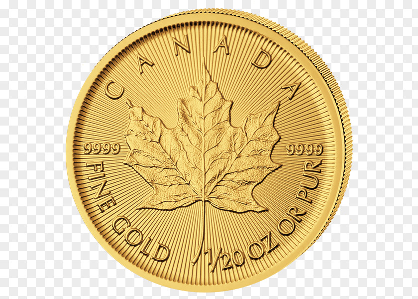 Gold Canadian Maple Leaf Coin Silver PNG