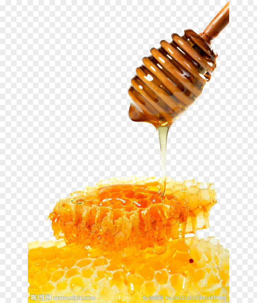 Honey Bee Honeycomb Breakfast Cereal Mu0101nuka PNG