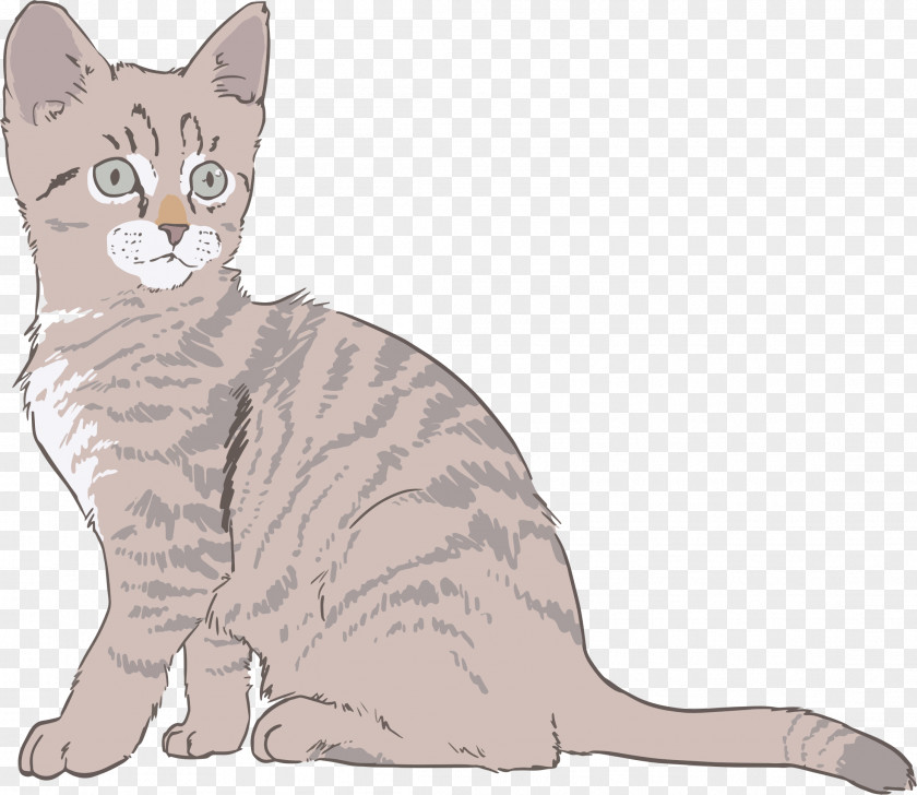 Kitten Sphynx Cat Drawing Clip Art PNG