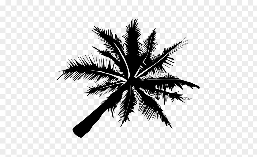 Palm Vector Silhouette PNG