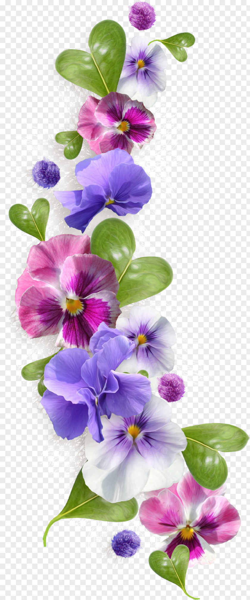 Violet Sweet Pansy African Violets Clip Art PNG