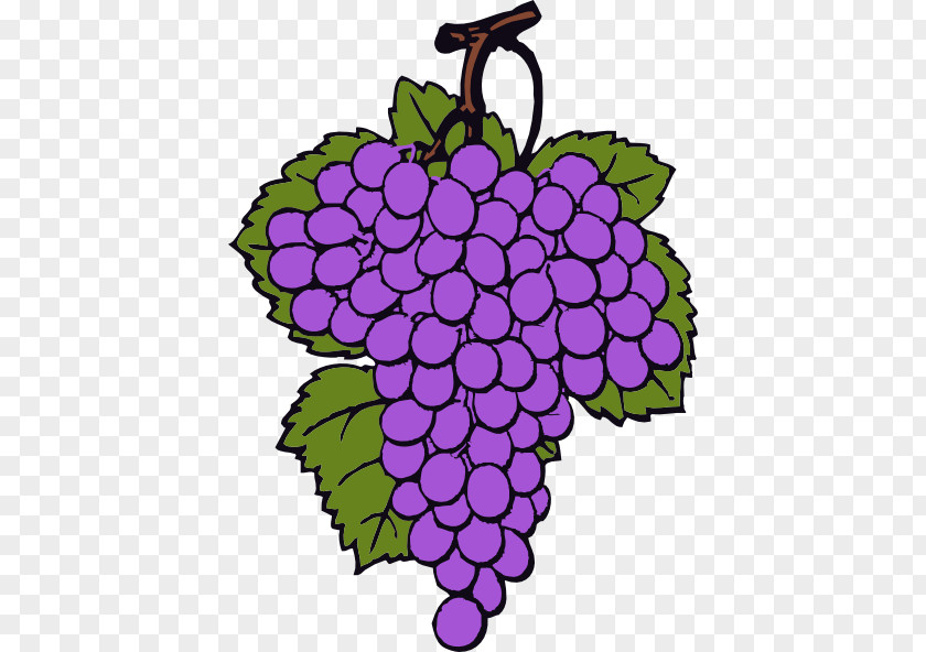 Cartoon Grapes Cliparts Wine Common Grape Vine Grappa Clip Art PNG