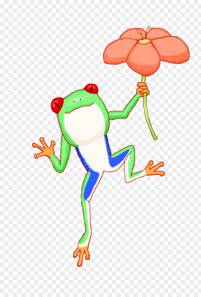 Frog Red-eyed Tree True Toad PNG