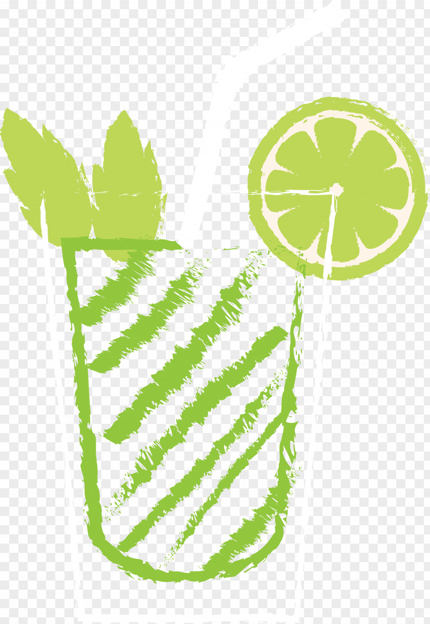 Juice Mojito Fruit Cocktail Drink PNG
