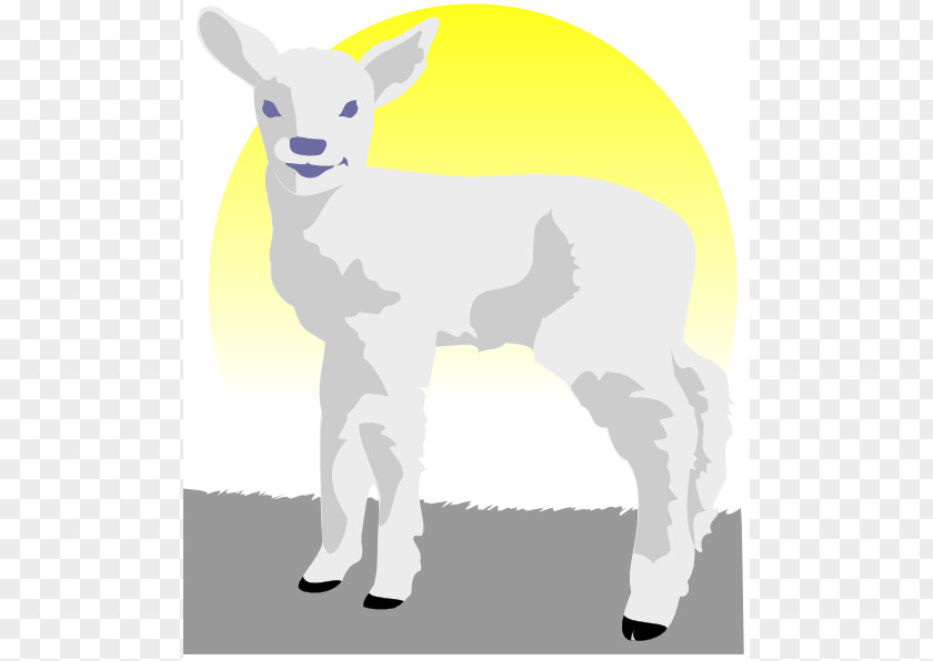 Lamb Cliparts Sheep And Mutton Clip Art PNG