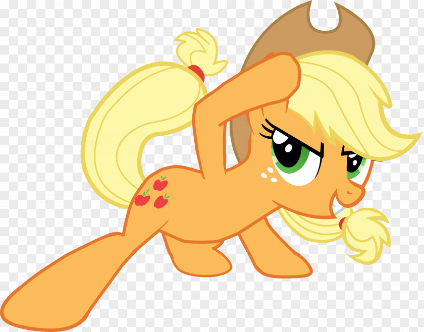 My Little Pony Applejack Rarity Twilight Sparkle Rainbow Dash PNG