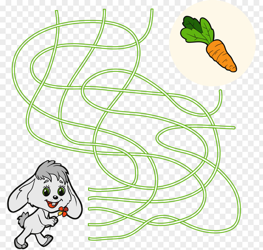 Rabbit Radish Maze Coloring Book Child Illustration PNG