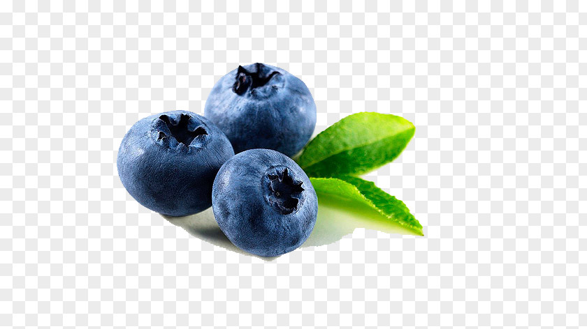 Blueberry Still Life Watercolor Dalian Dandong Speciality U4e39u4e1cu7279u4ea7 Fruit Preserves PNG
