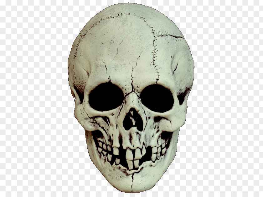 Masked Skull Mask Costume Party Skeleton PNG
