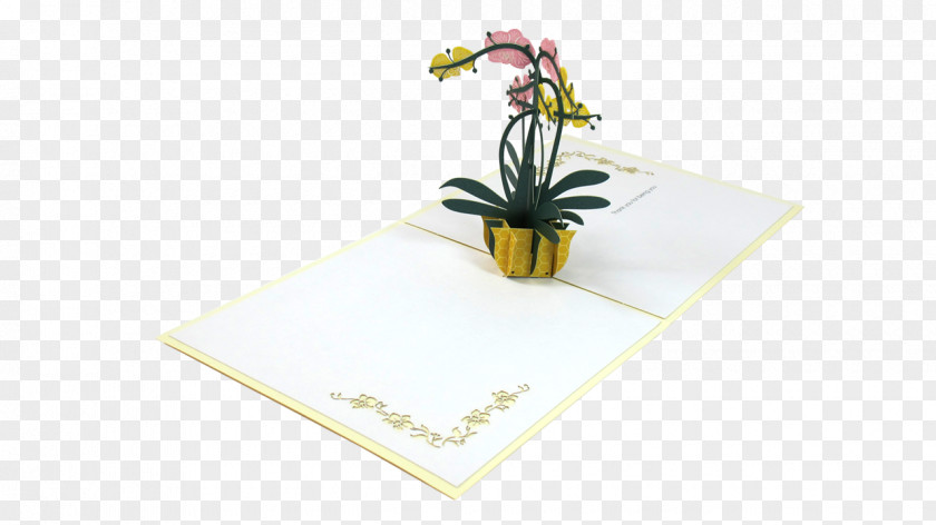 Vase Paper Pop-up Book Orchids Card Stock PNG