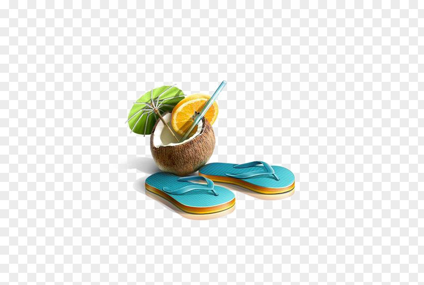 Coconut Trees And Slippers Dribbble Icon PNG
