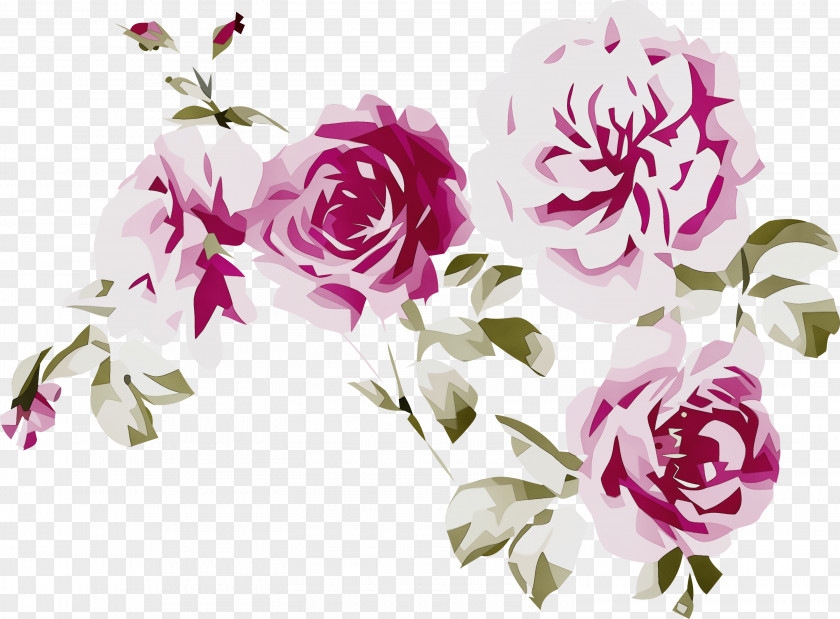 Floral Design PNG