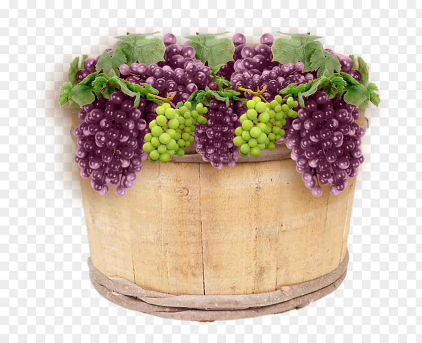 Grape Common Vine Harvest Quotation PNG