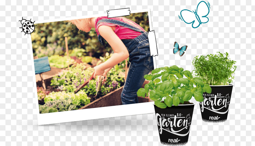 Kinder Garden Flowerpot Plastic Herb PNG