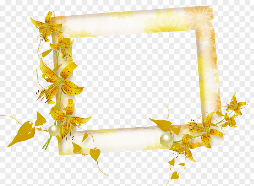 Leaf Frame Picture Frames Clip Art PNG