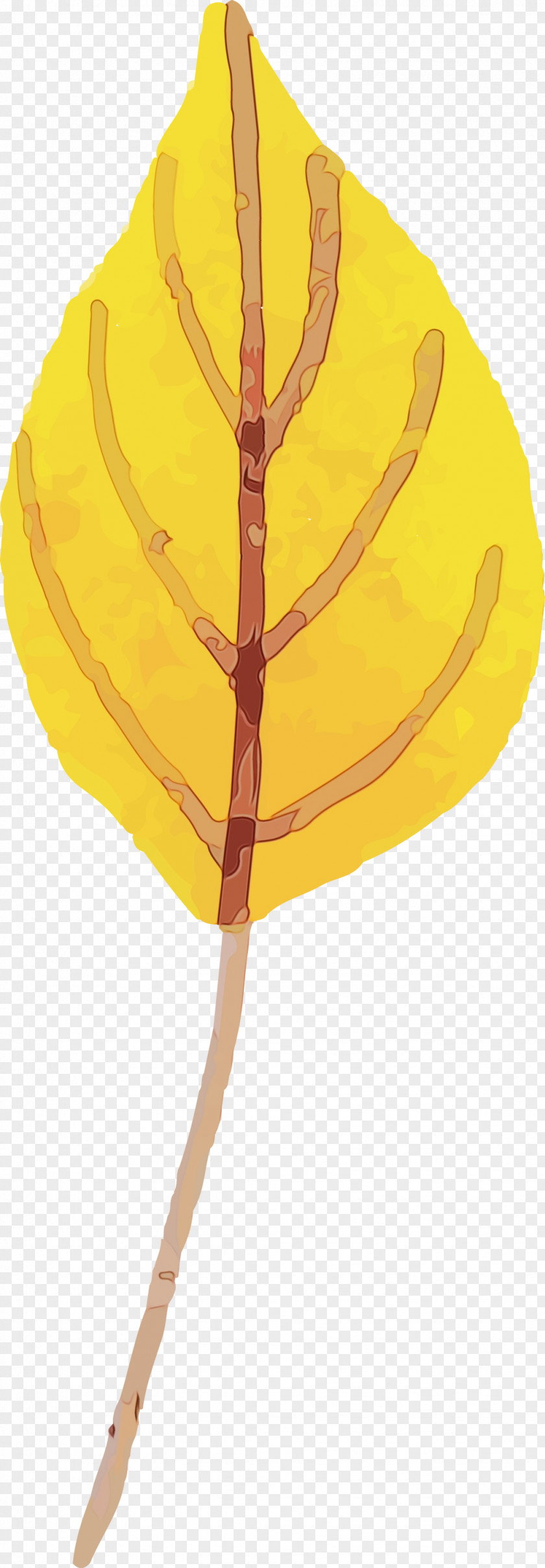 Leaf Yellow Tree Line Biology PNG