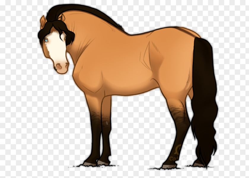 Mustang Mane Stallion Colt Rein PNG