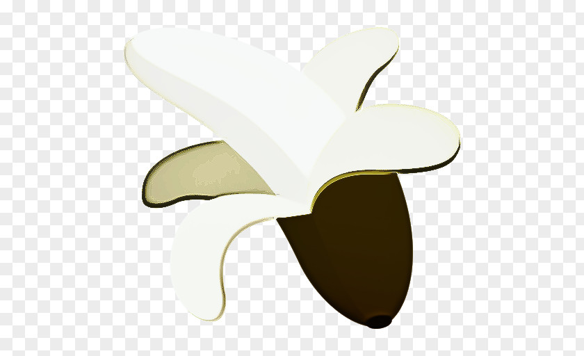 Wing Logo Butterfly PNG