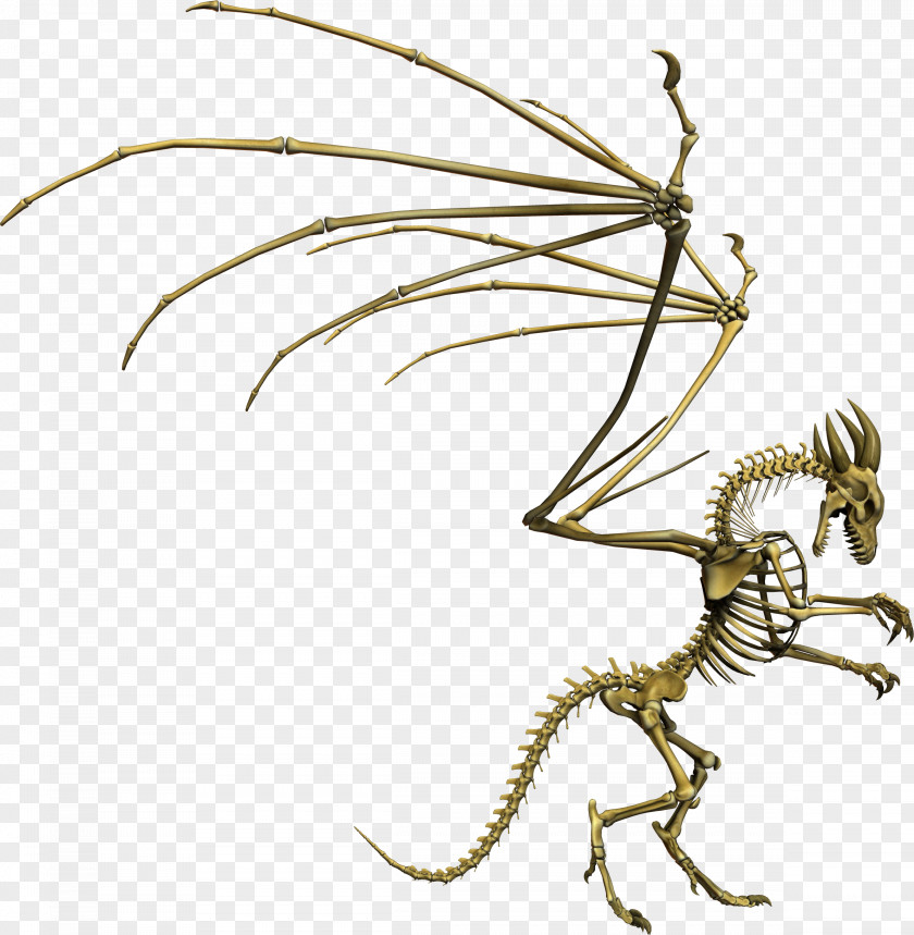 Bone Wing Human Skeleton Dragon PNG