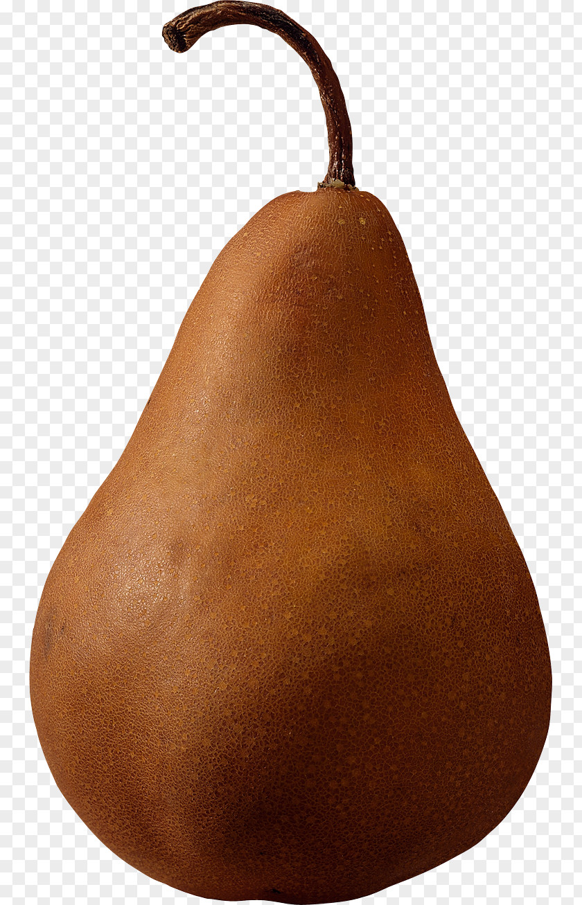 Brown Pear Image Fruit Computer File PNG