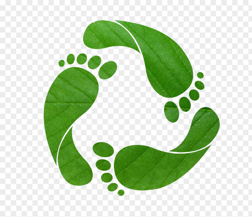 Carbon Footprint Ecological Recycling Natural Environment Sustainability PNG