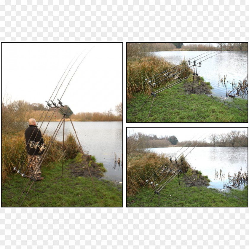 Fishing Rods Rod Pod Angling Recreation PNG
